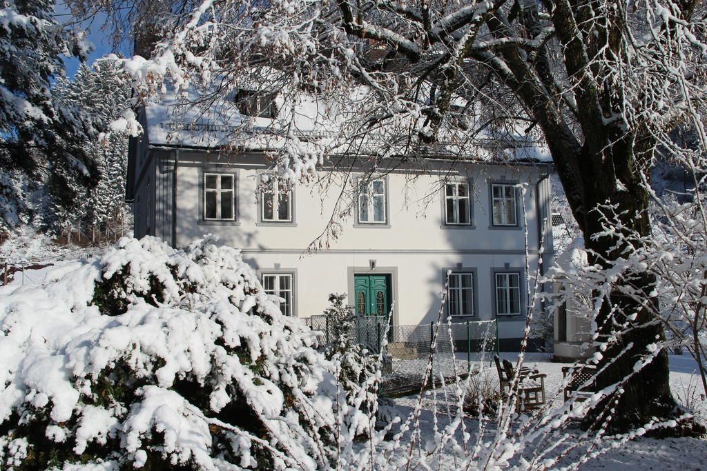 Ferienwohntraum Haller Nötsch Extérieur photo
